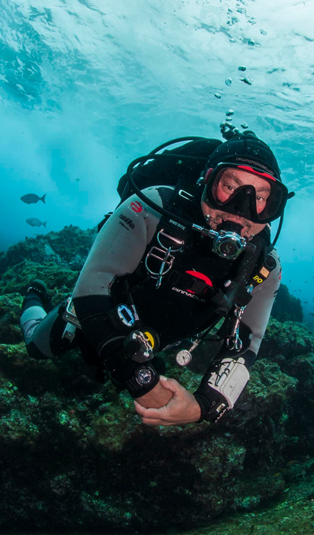 Learn to Dive with PADI